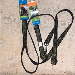 NWT RC Pets sz small adj collar and 6ft leash